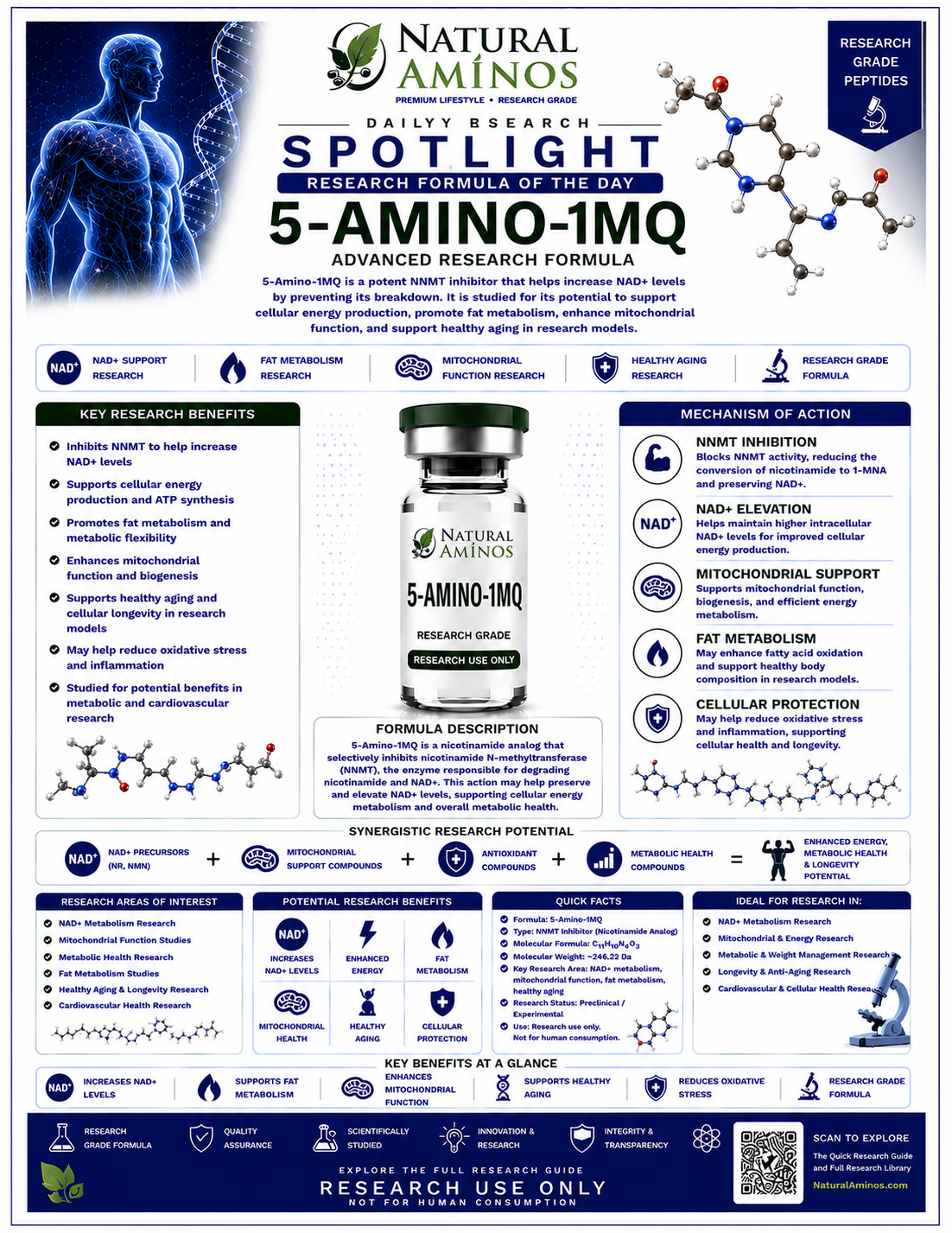 5-Amino-1MQ research graphic