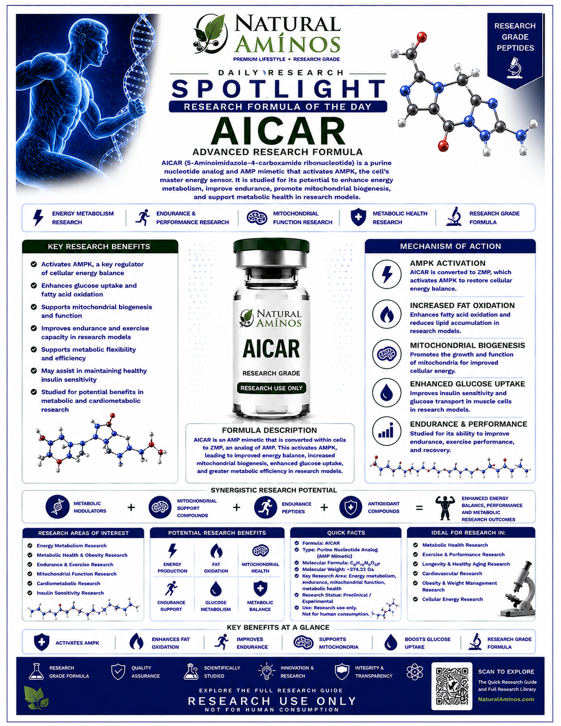 AICAR research graphic