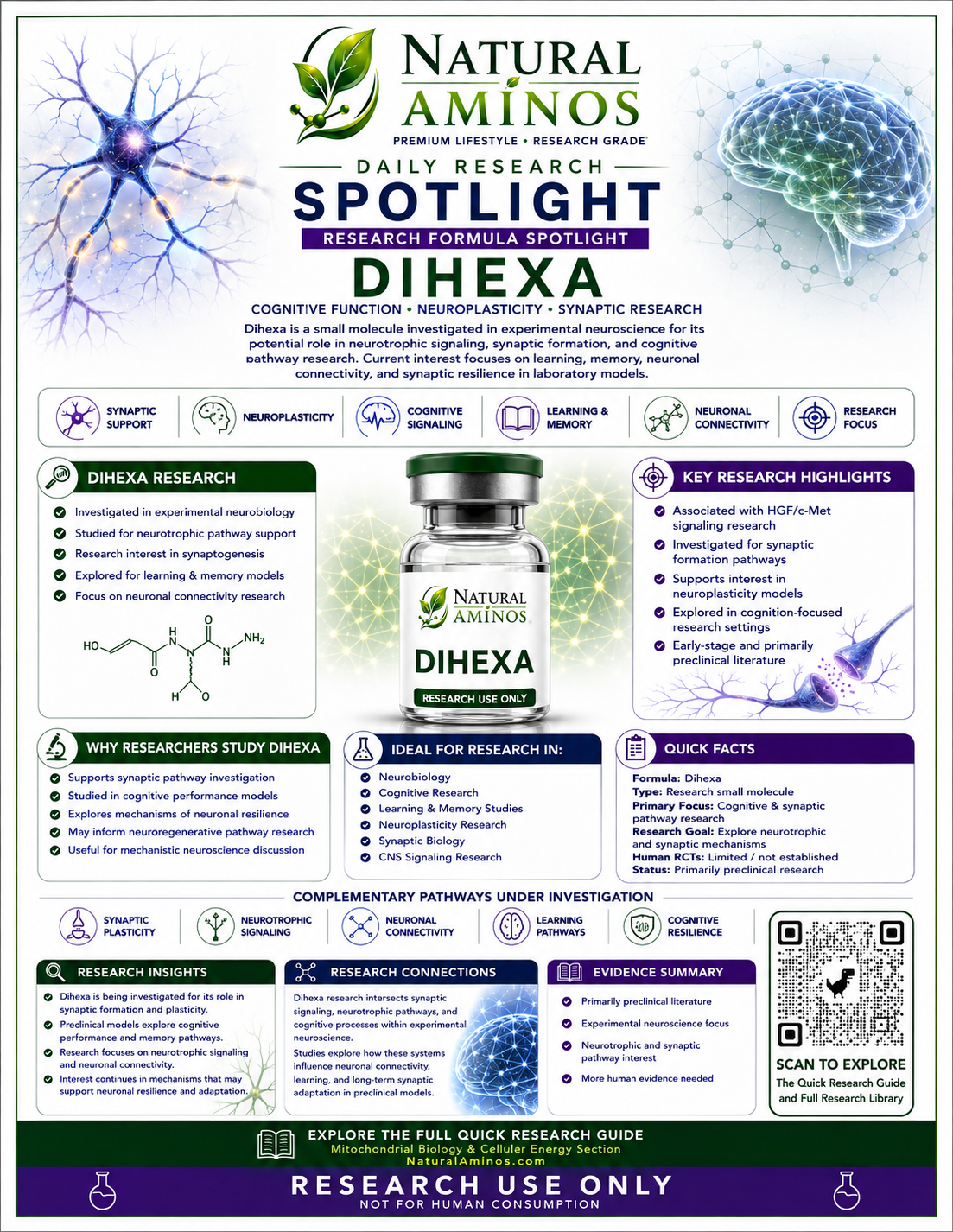Dihexa research graphic