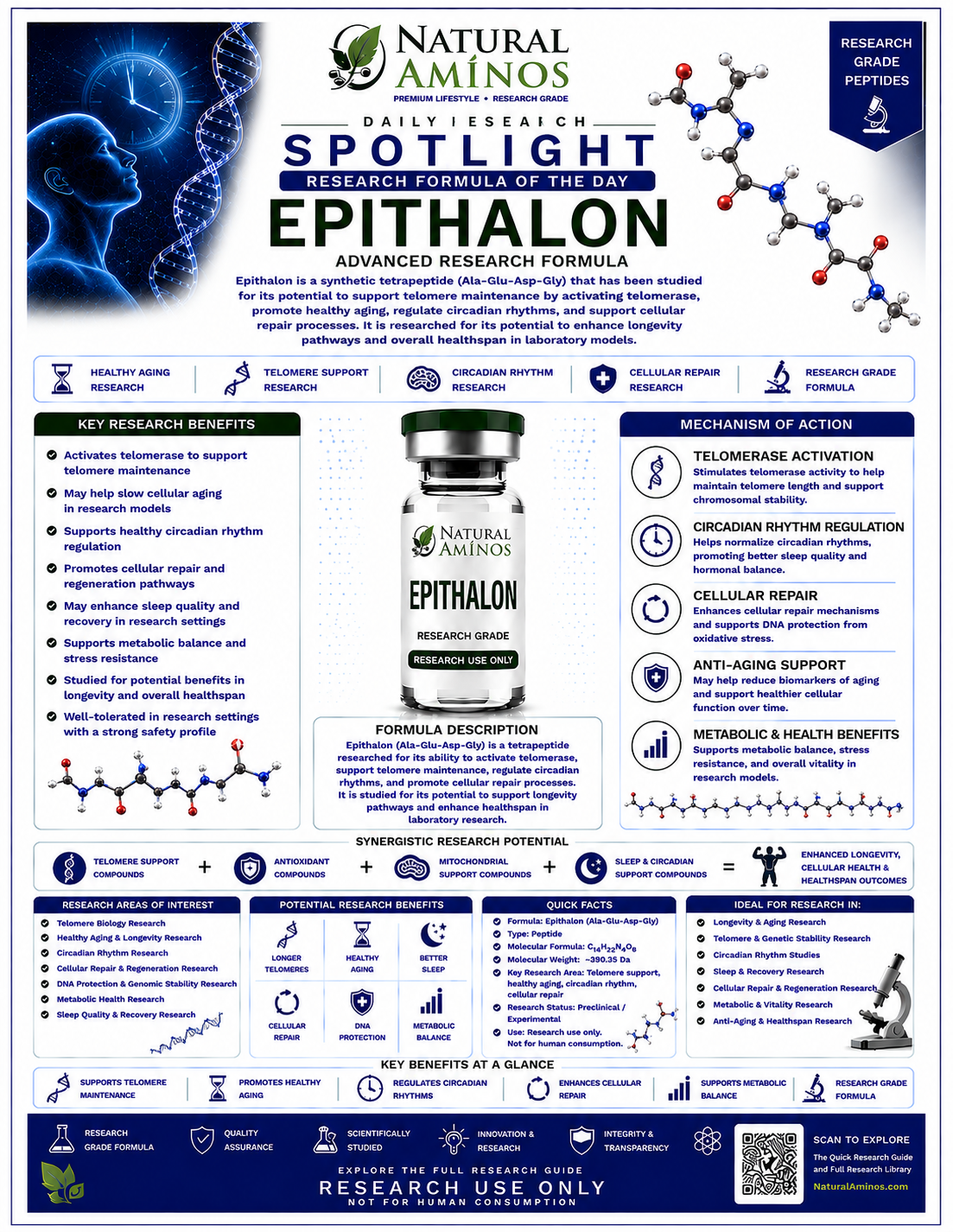 Epithalon research graphic