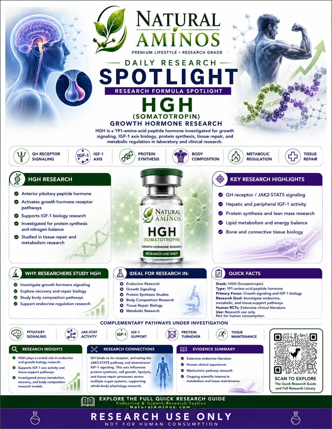HGH research graphic