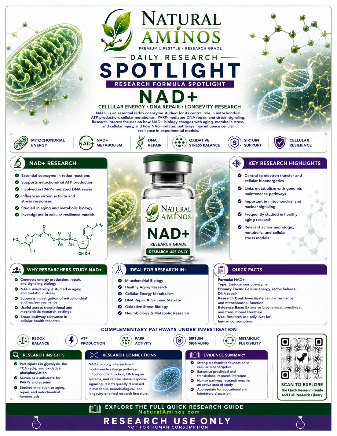 NAD+ research graphic