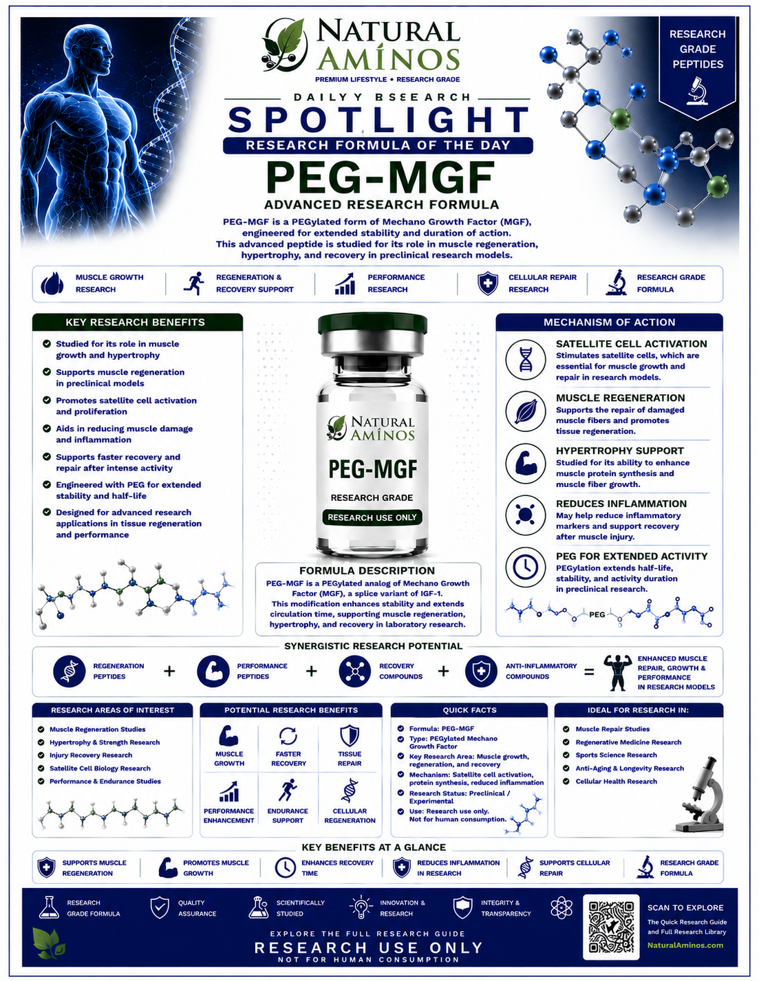 PEG-MGF research graphic