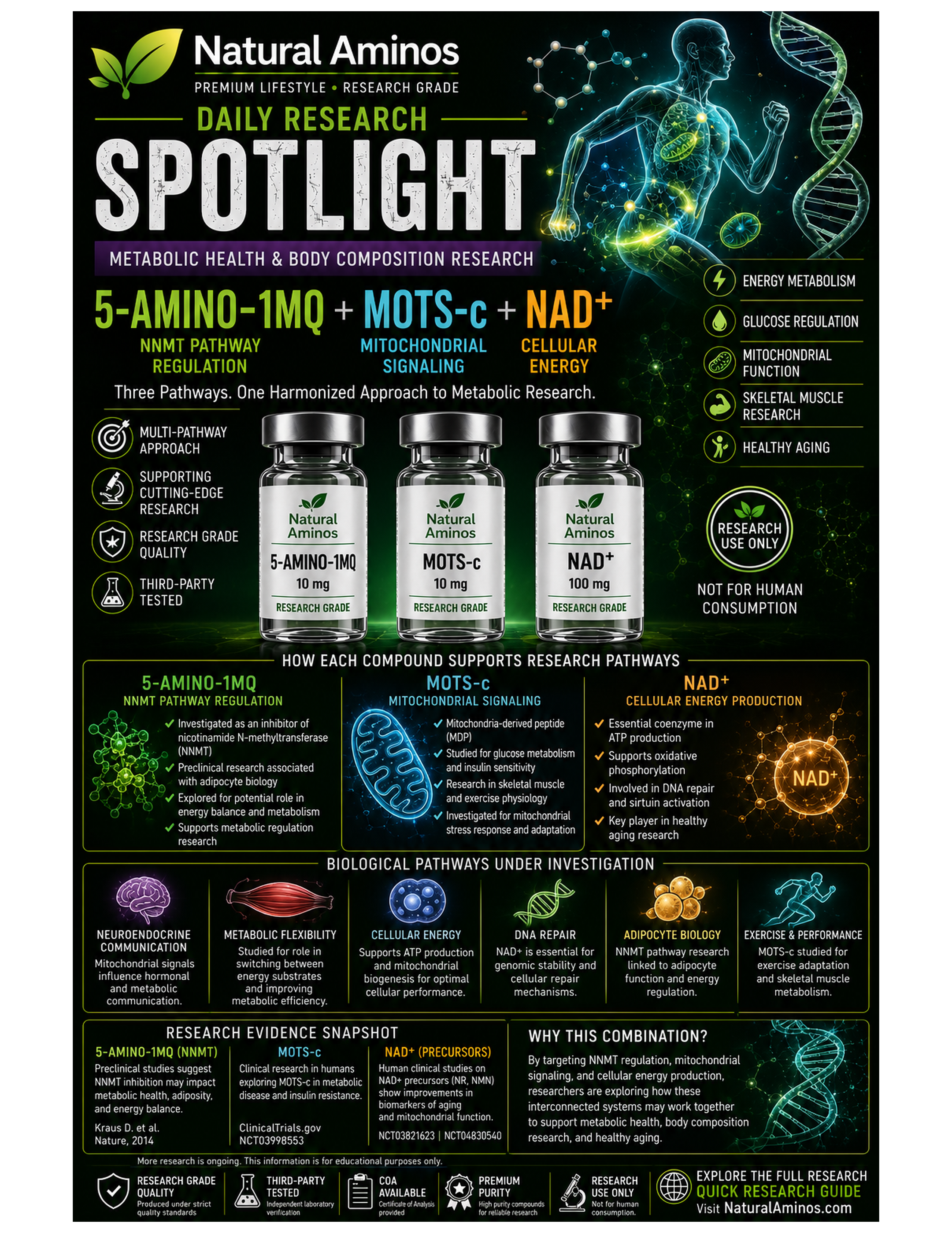 5-Amino-1MQ + MOTS-c + NAD+ research graphic