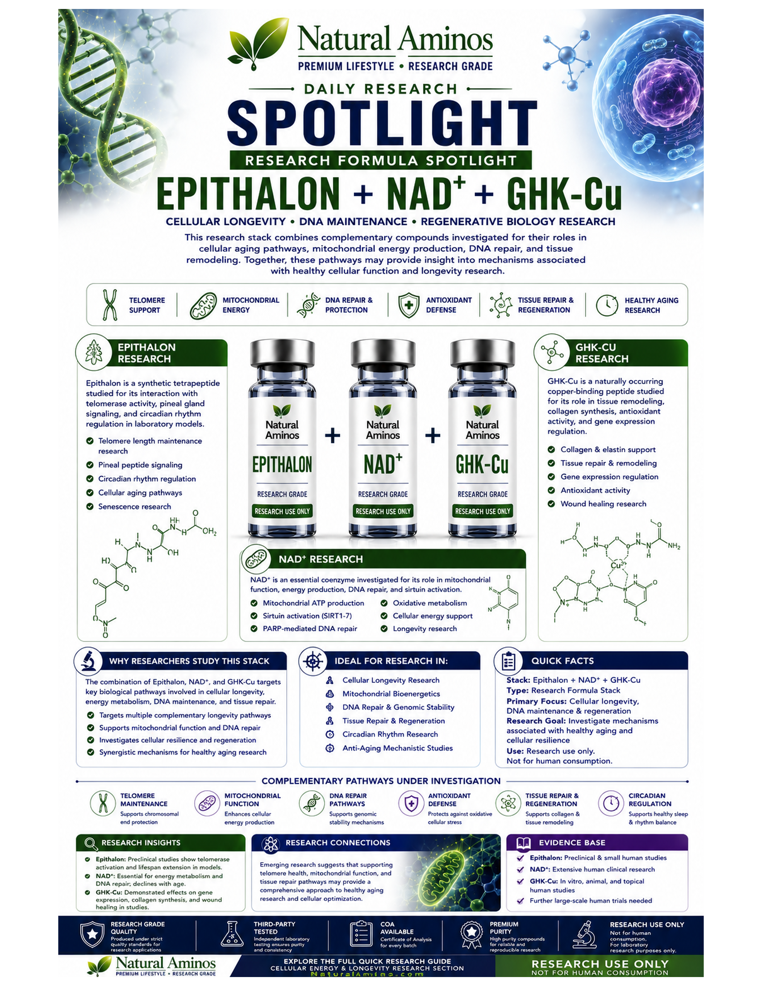 Epithalon + NAD+ + GHK-Cu research graphic