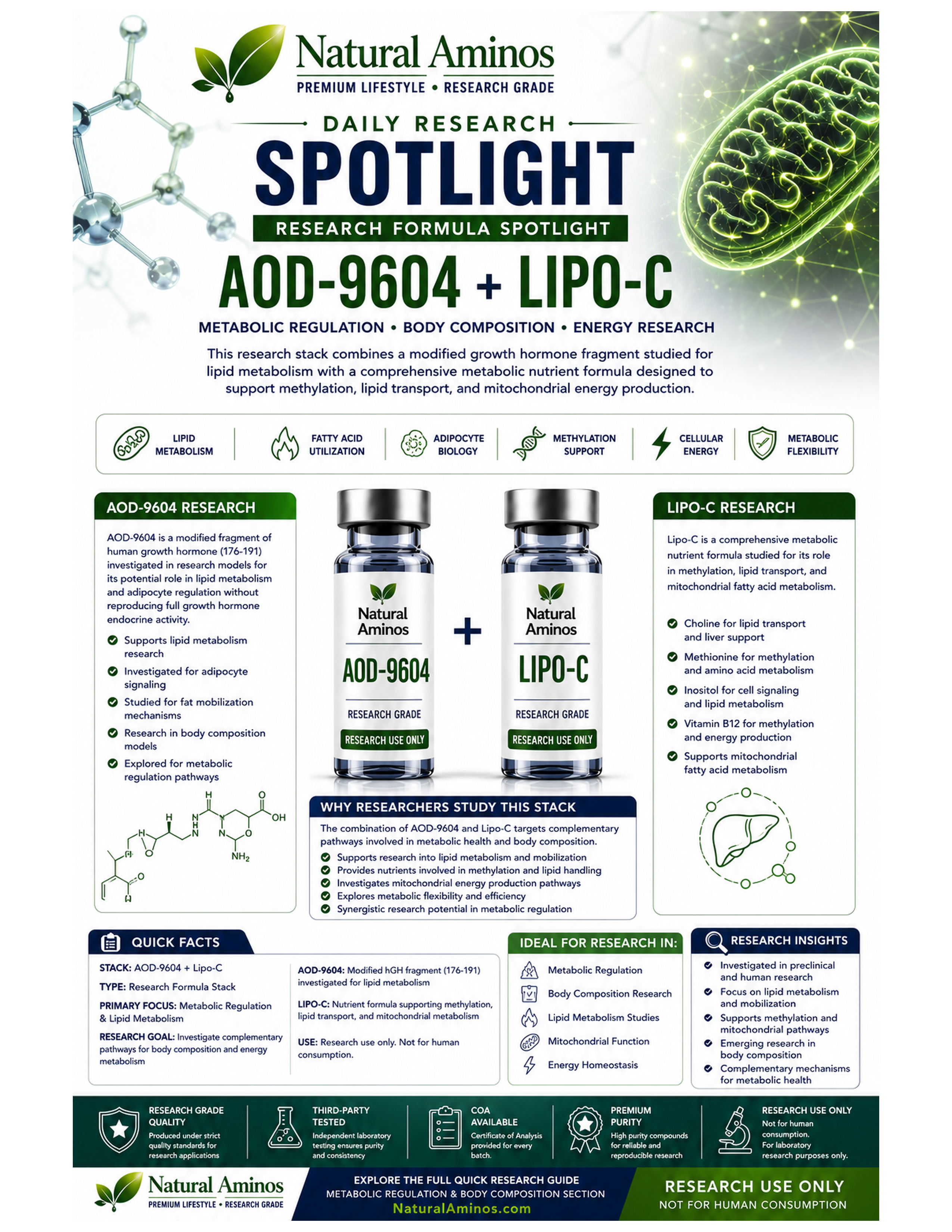 AOD-9604 + Lipo-C research graphic