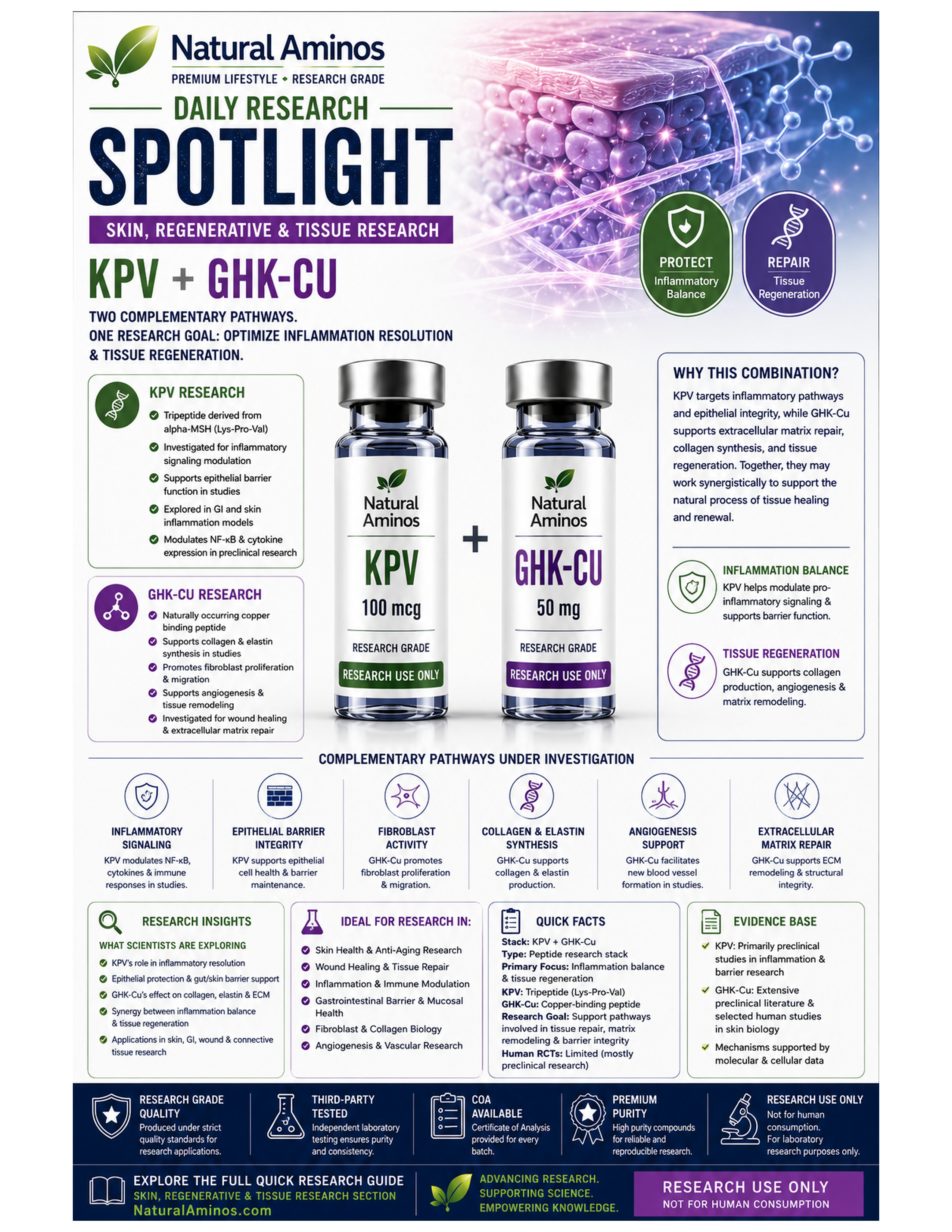 KPV + GHK-Cu research graphic