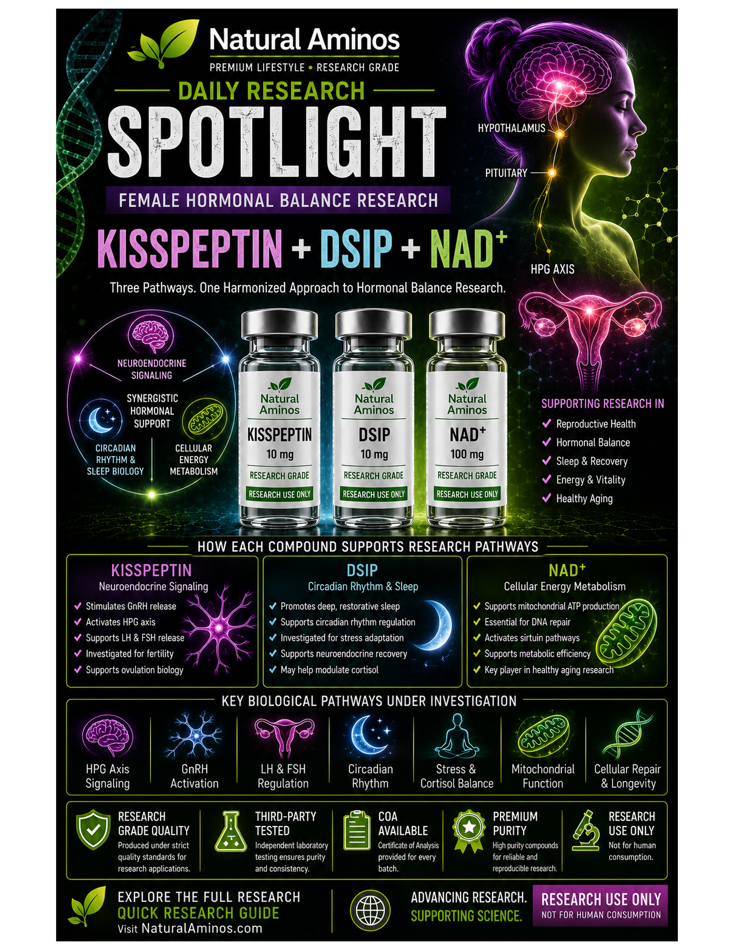 Kisspeptin + DSIP + NAD+ research graphic